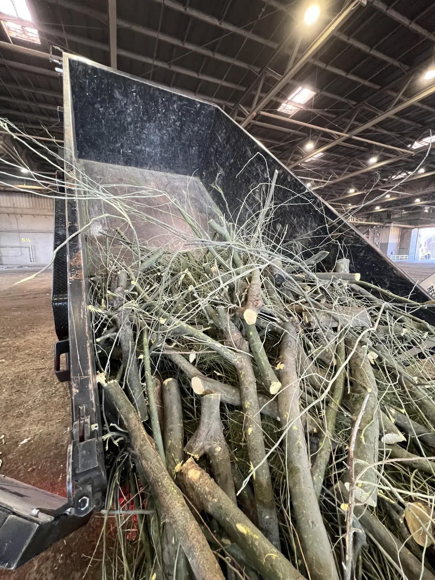 A truck bed stacked with cut tree limbs and brush