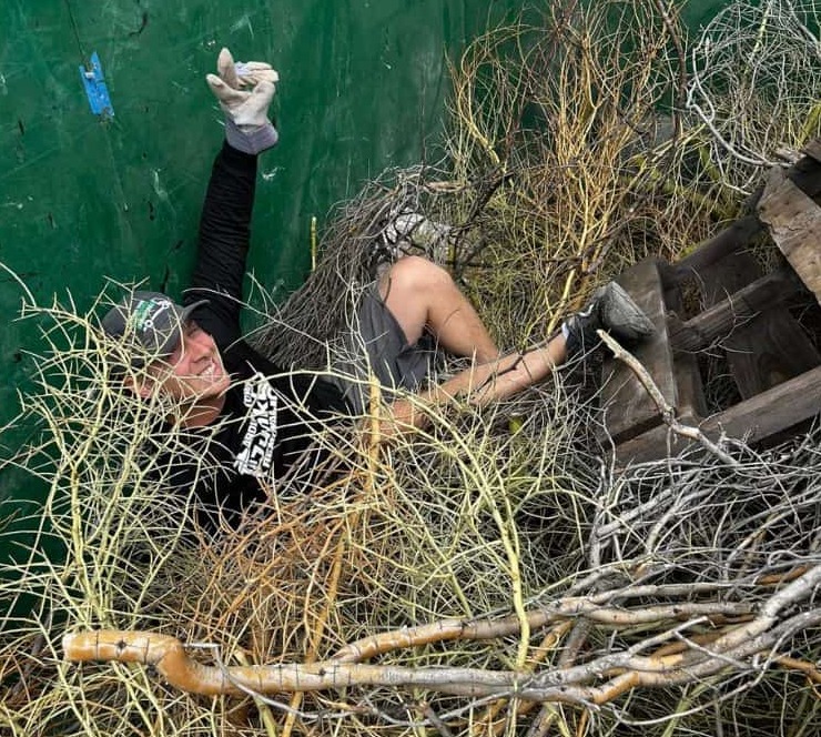 Green Waste Removal in Phoenix, AZ